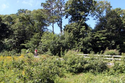 42 Old Colony Way Orleans MA 02653