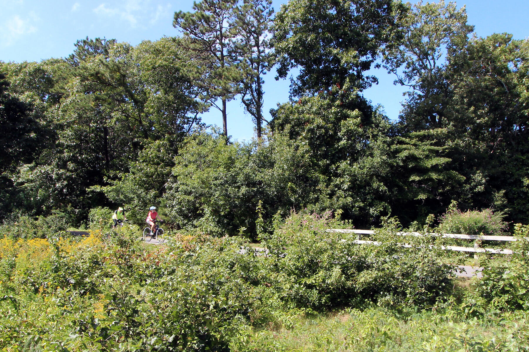 42 Old Colony Way Orleans MA 02653