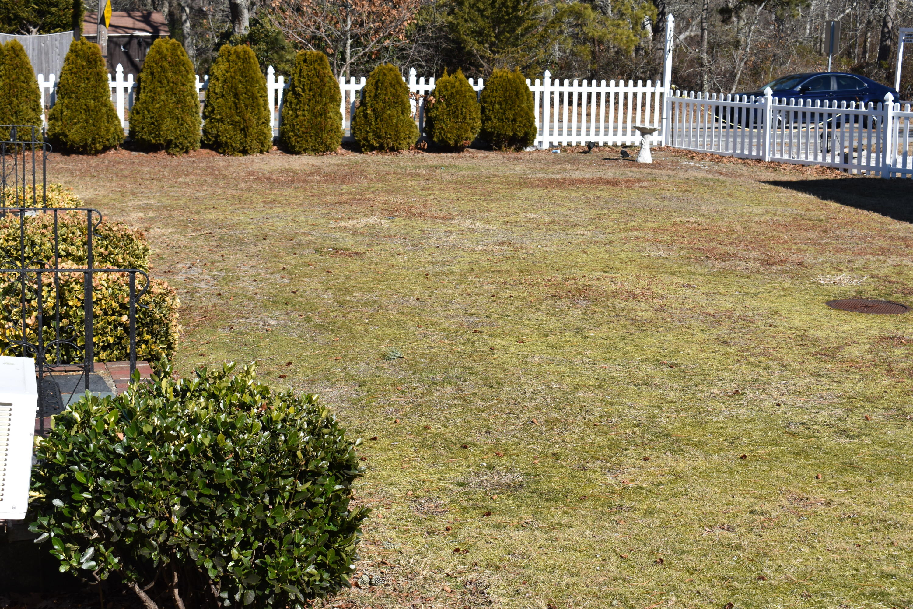 49 Lower County Road Dennis Port MA 02639