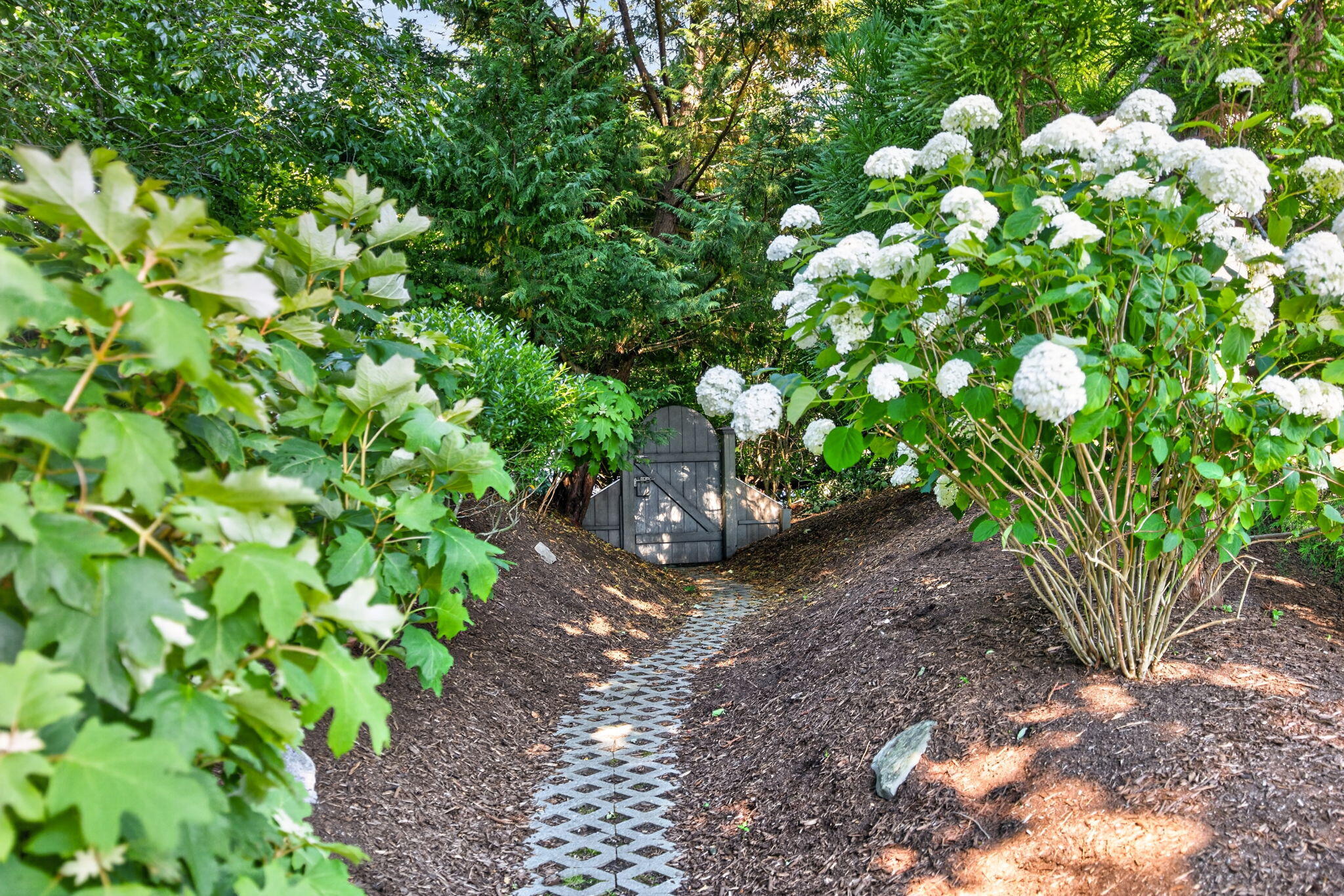 15 Shattuck Place Chatham MA 02633