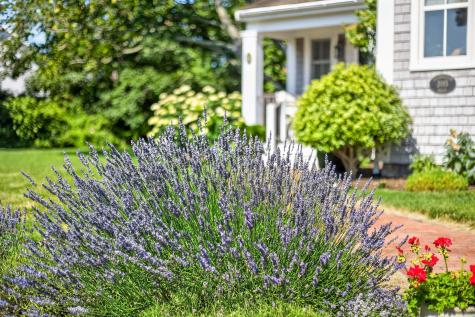 15 Shattuck Place Chatham MA 02633