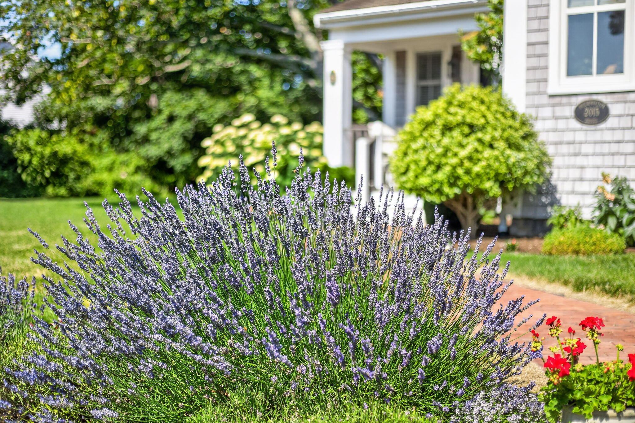 15 Shattuck Place Chatham MA 02633