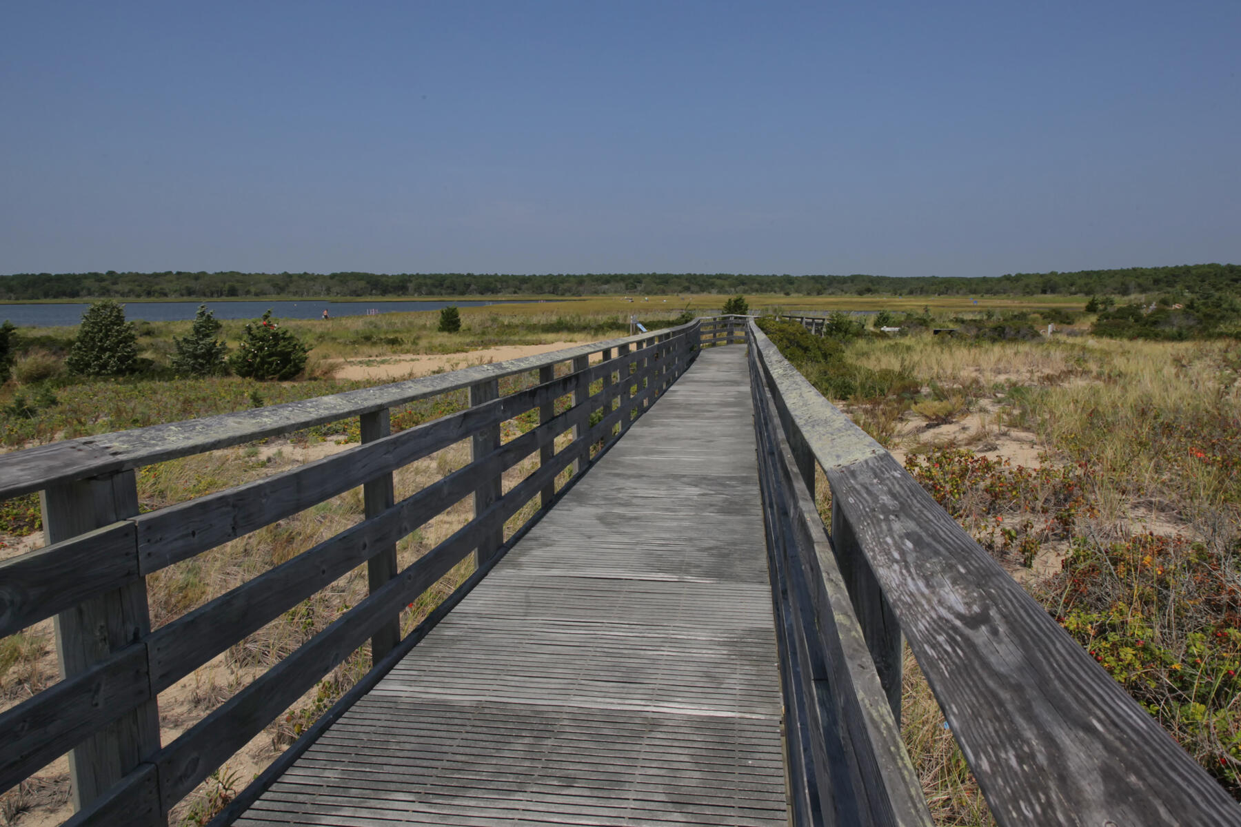 16 Gold Leaf Lane Mashpee MA 02649