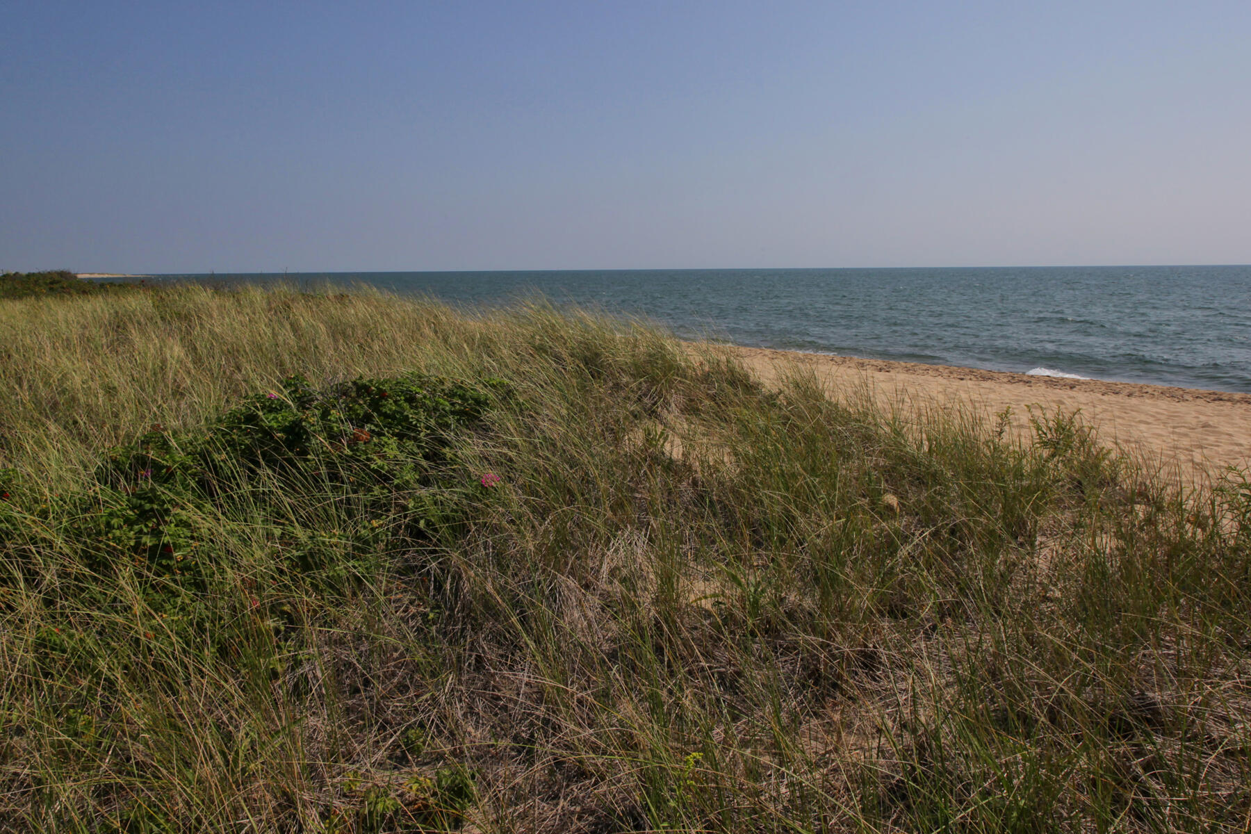 16 Gold Leaf Lane Mashpee MA 02649