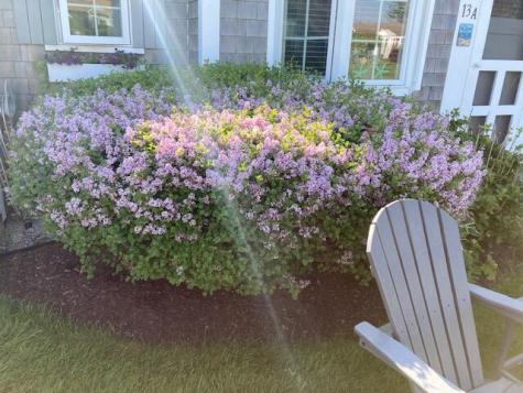 135 South Shore Drive Yarmouth MA 02664