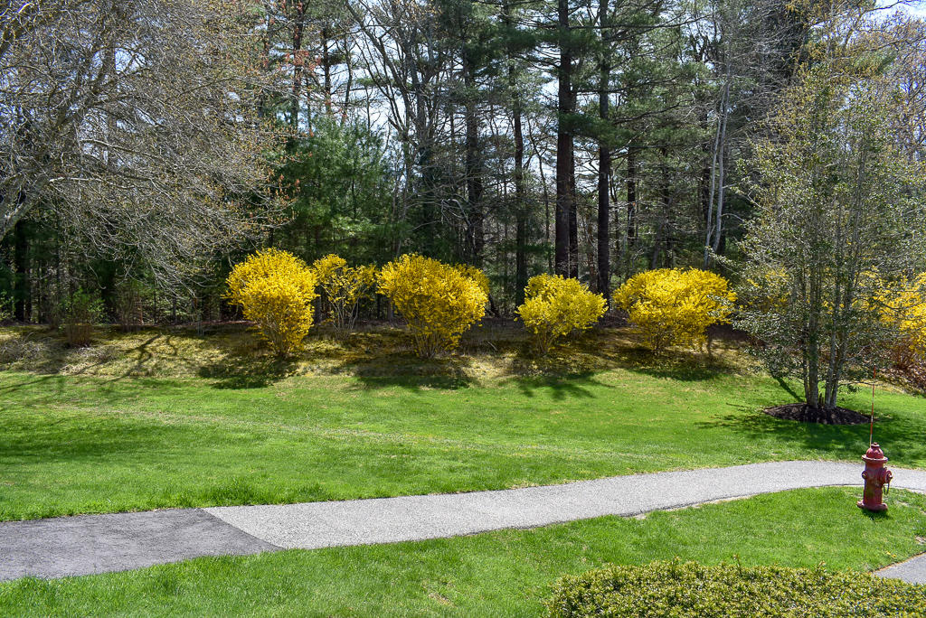 22 Hilltop Drive Sandwich MA 02563