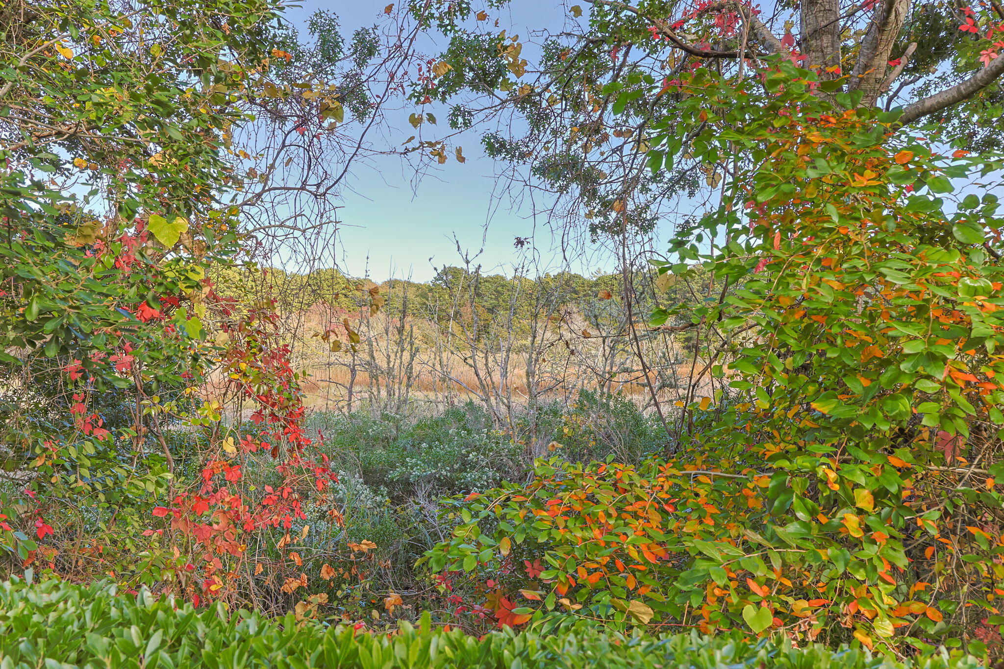 381 Great Oak Road Mashpee MA 02649