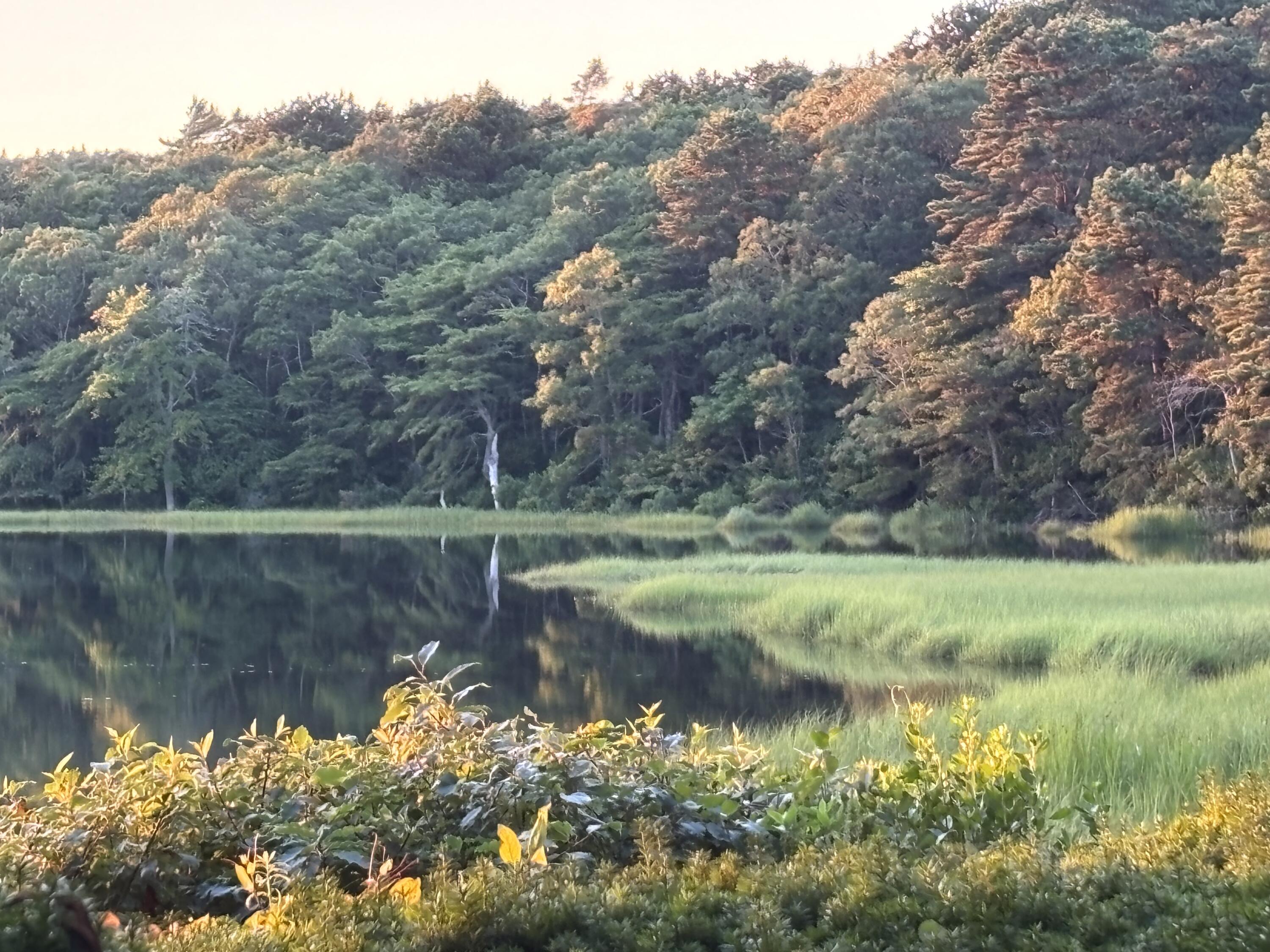 381 Great Oak Road Mashpee MA 02649