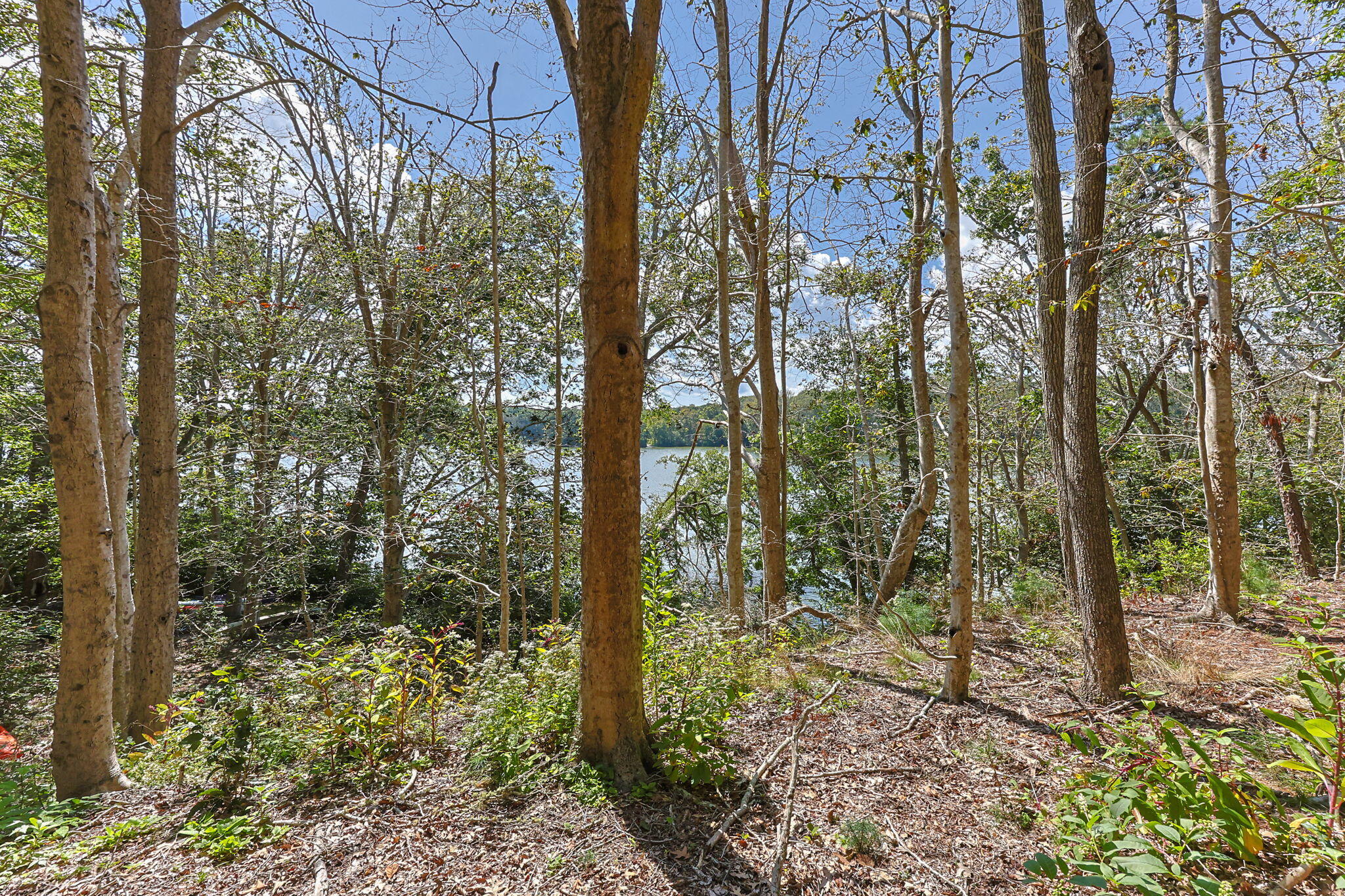 35 Santuit Pond Way Mashpee MA 02649