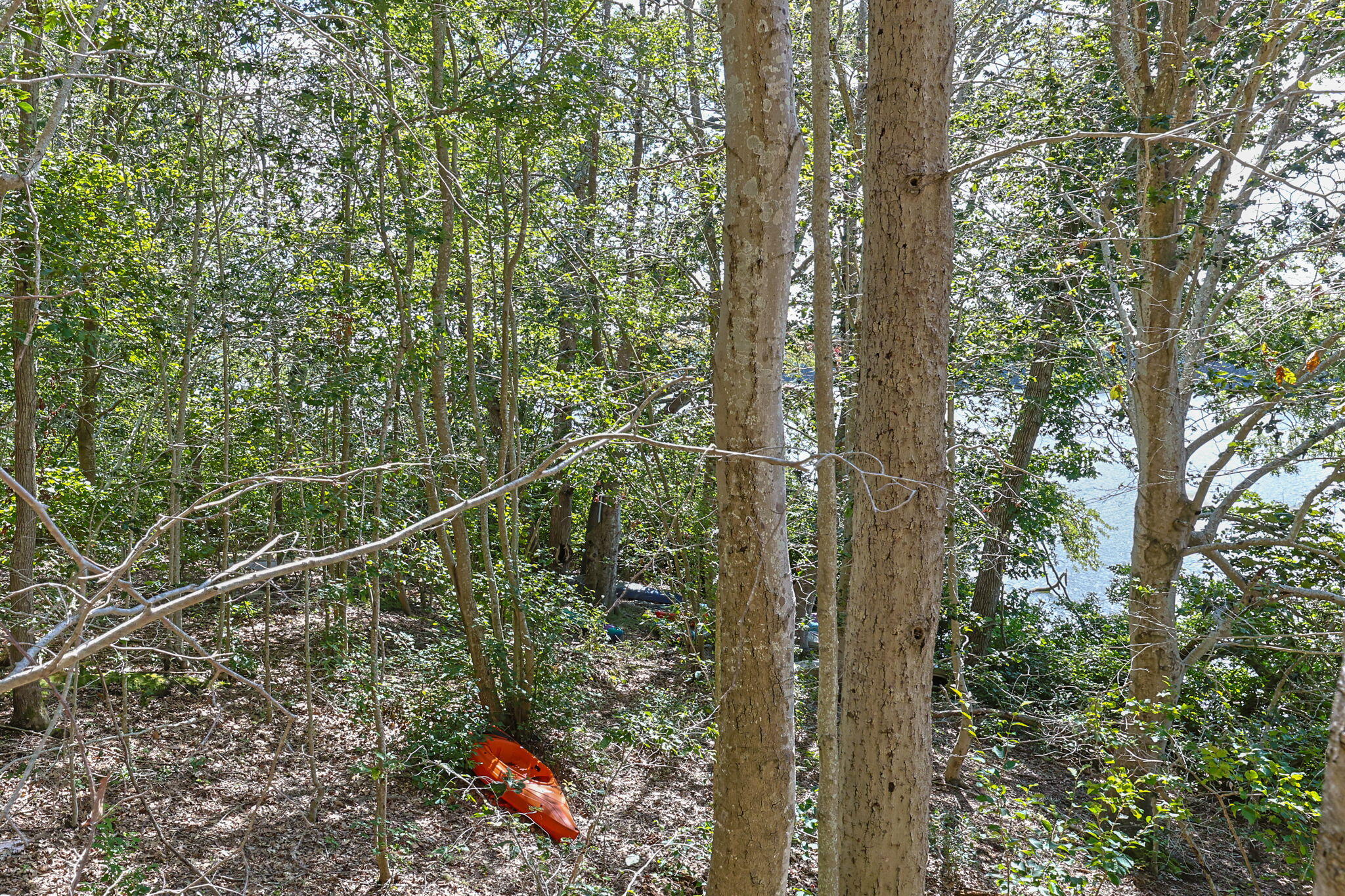 35 Santuit Pond Way Mashpee MA 02649