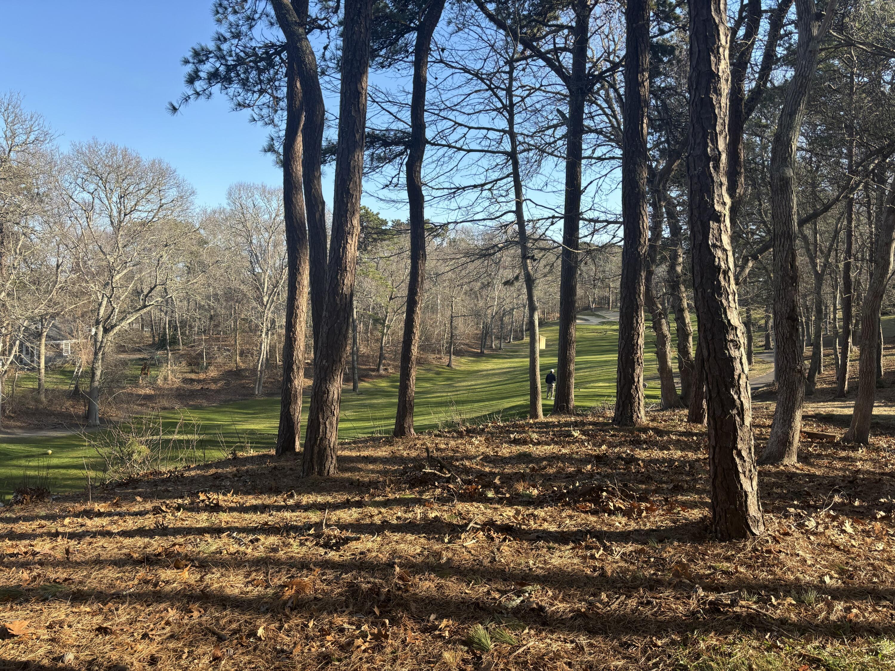 54 Kates Path Yarmouth MA 02675