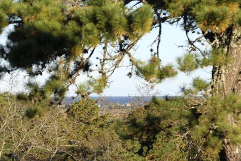 50 John Hall Cartway Yarmouth MA 02675