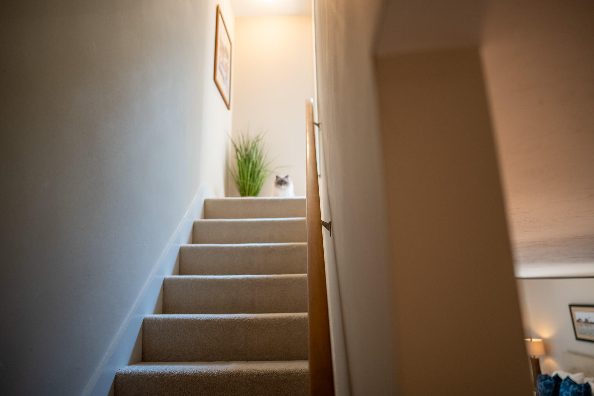 25 Oak Glen Village Yarmouth MA 02675