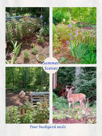 40 Woodrise Falmouth MA 02540