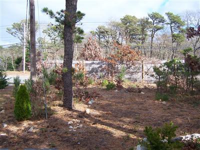 Eastham MA 02642