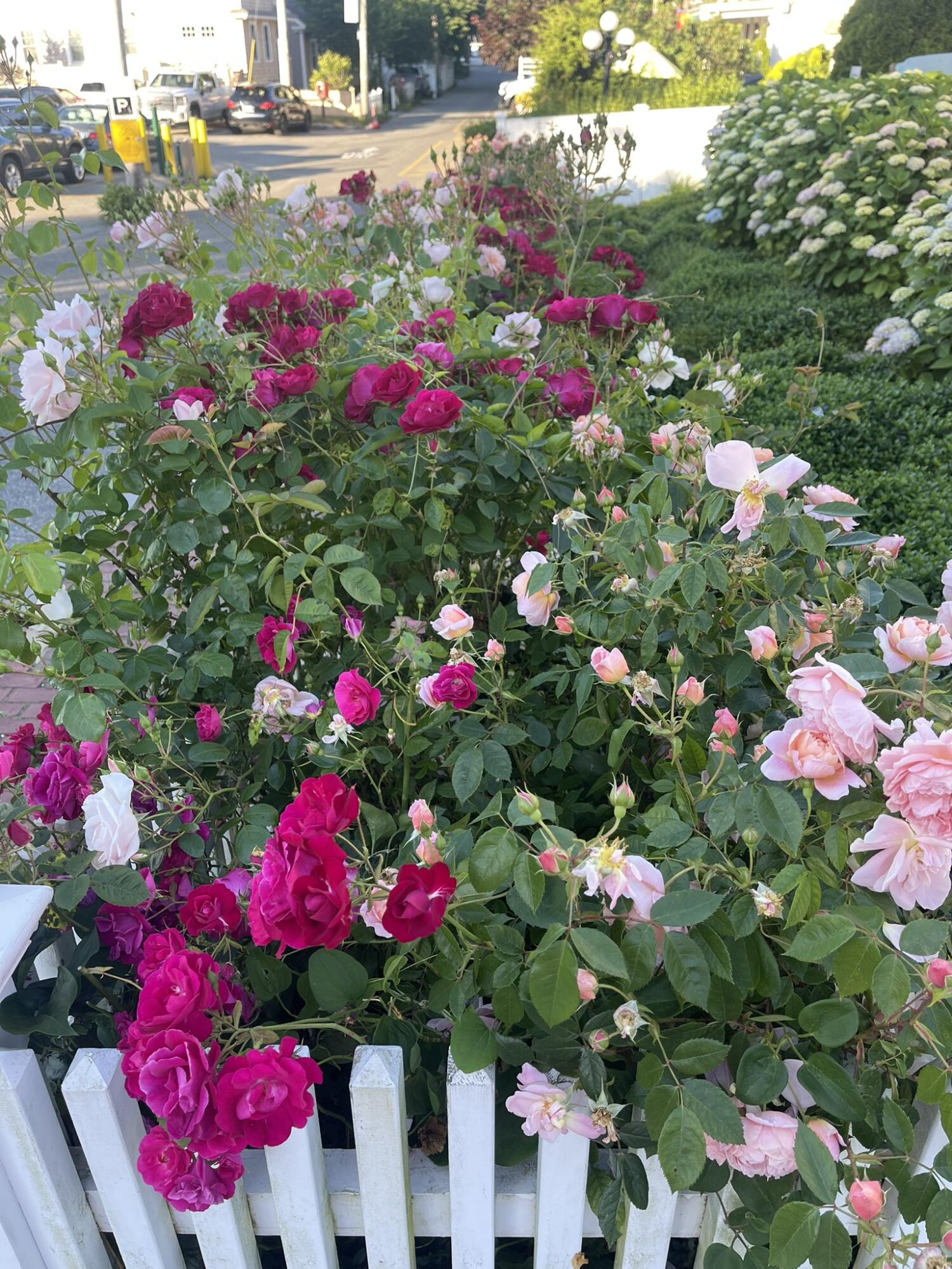 54 Commercial Street Provincetown MA 02657