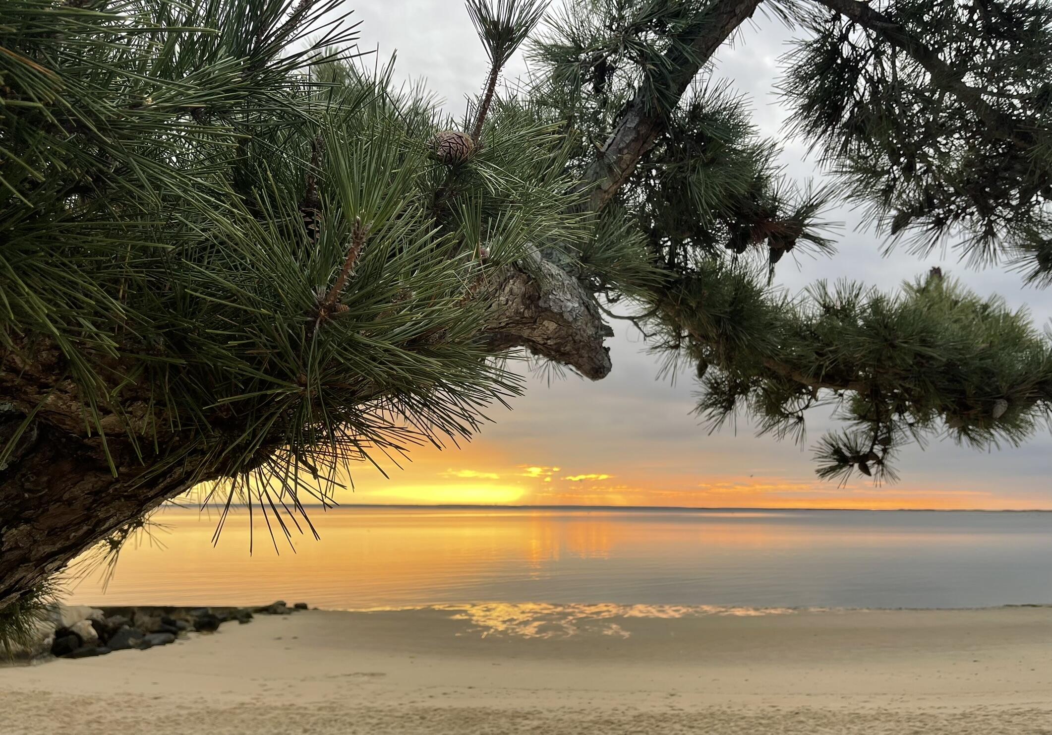 54 Commercial Street Provincetown MA 02657