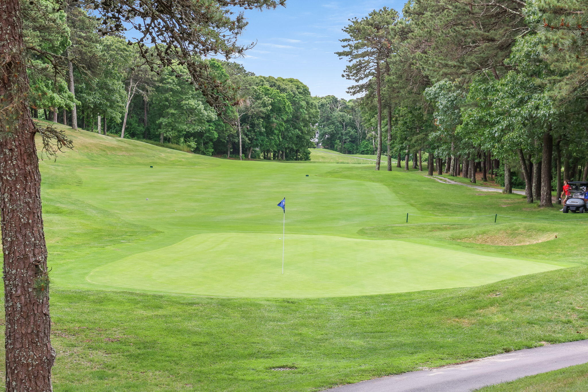 16 West Woods Yarmouth MA 02675