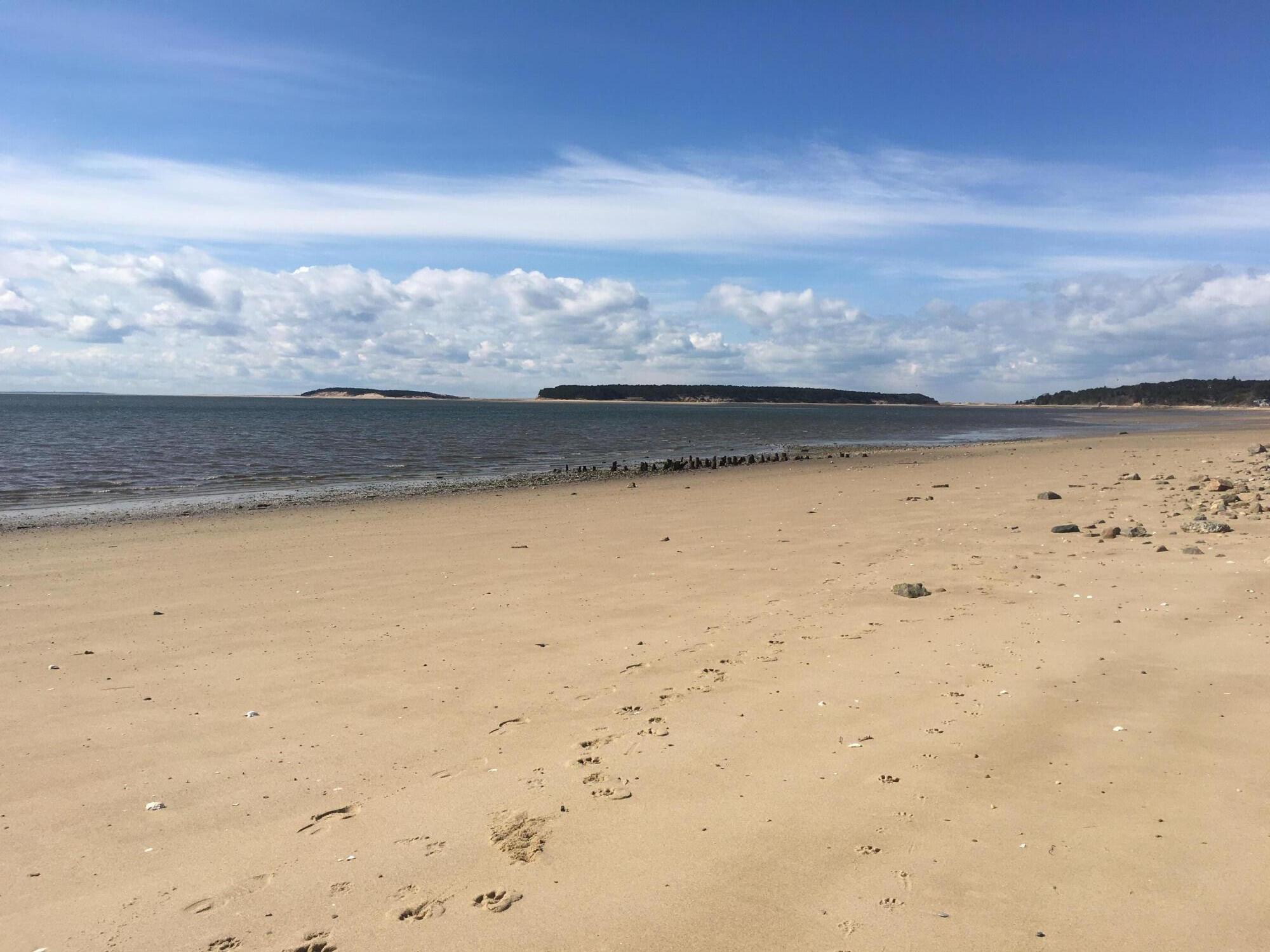 260 Kendrick Avenue Wellfleet MA 02667