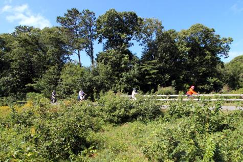 36 Old Colony Way Orleans MA 02653