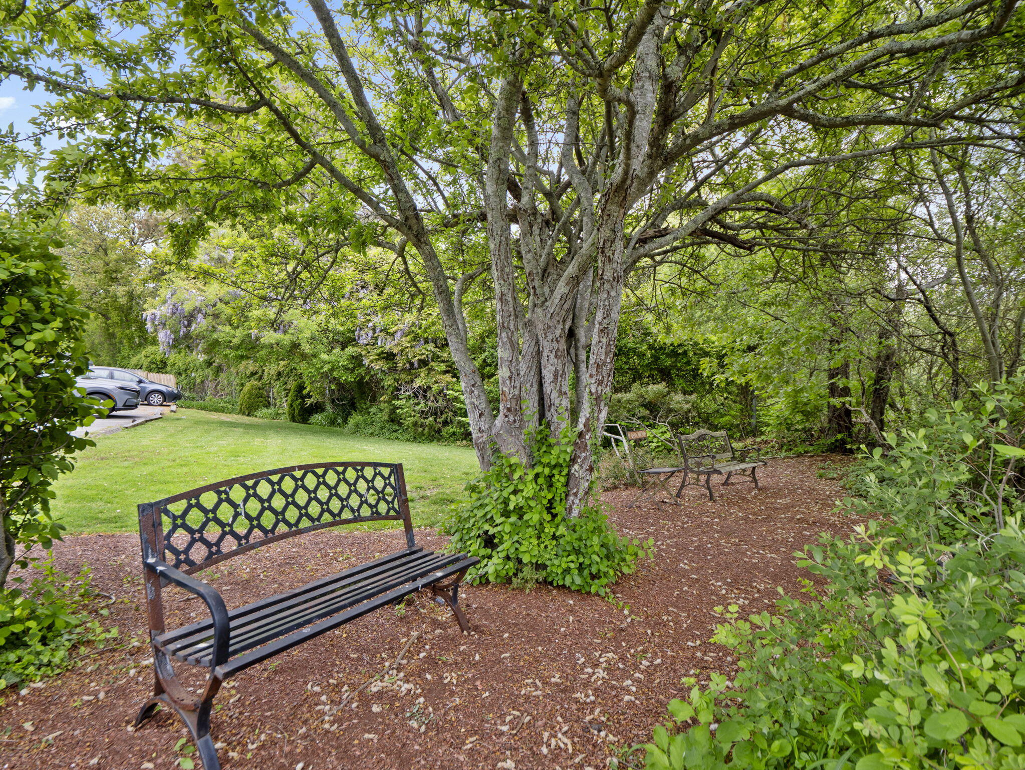 24 Betty's Pond Road Barnstable MA 02601