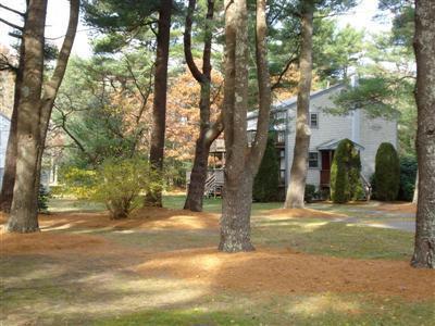 3040 Falmouth Road/route 28 Osterville MA 02655