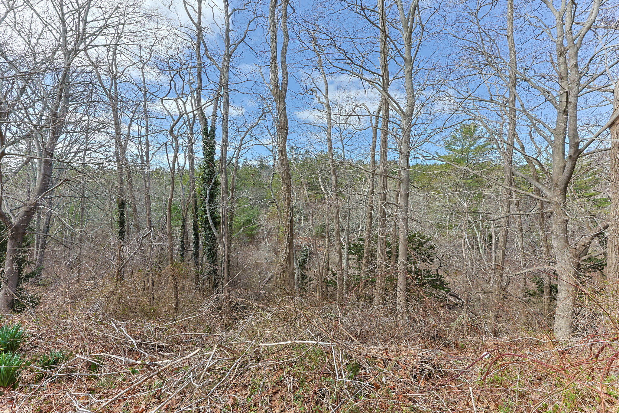 328 Boxberry Hill Road Falmouth MA 02536