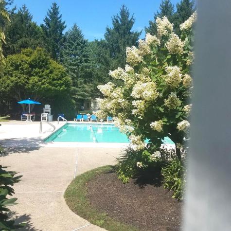32 Oak Glen Village Yarmouth MA 02675