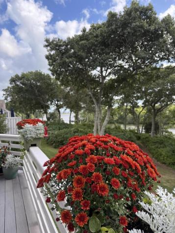 34 Landfall Falmouth MA 02540