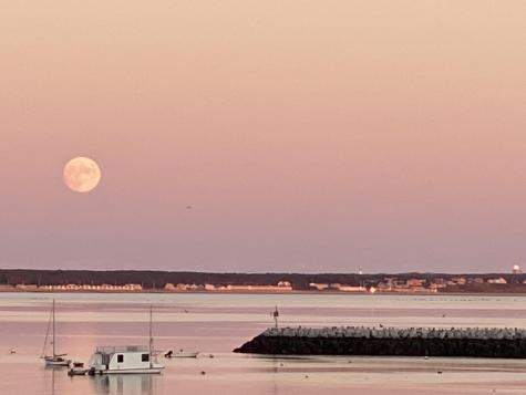 333 Commercial Street Provincetown MA 02657