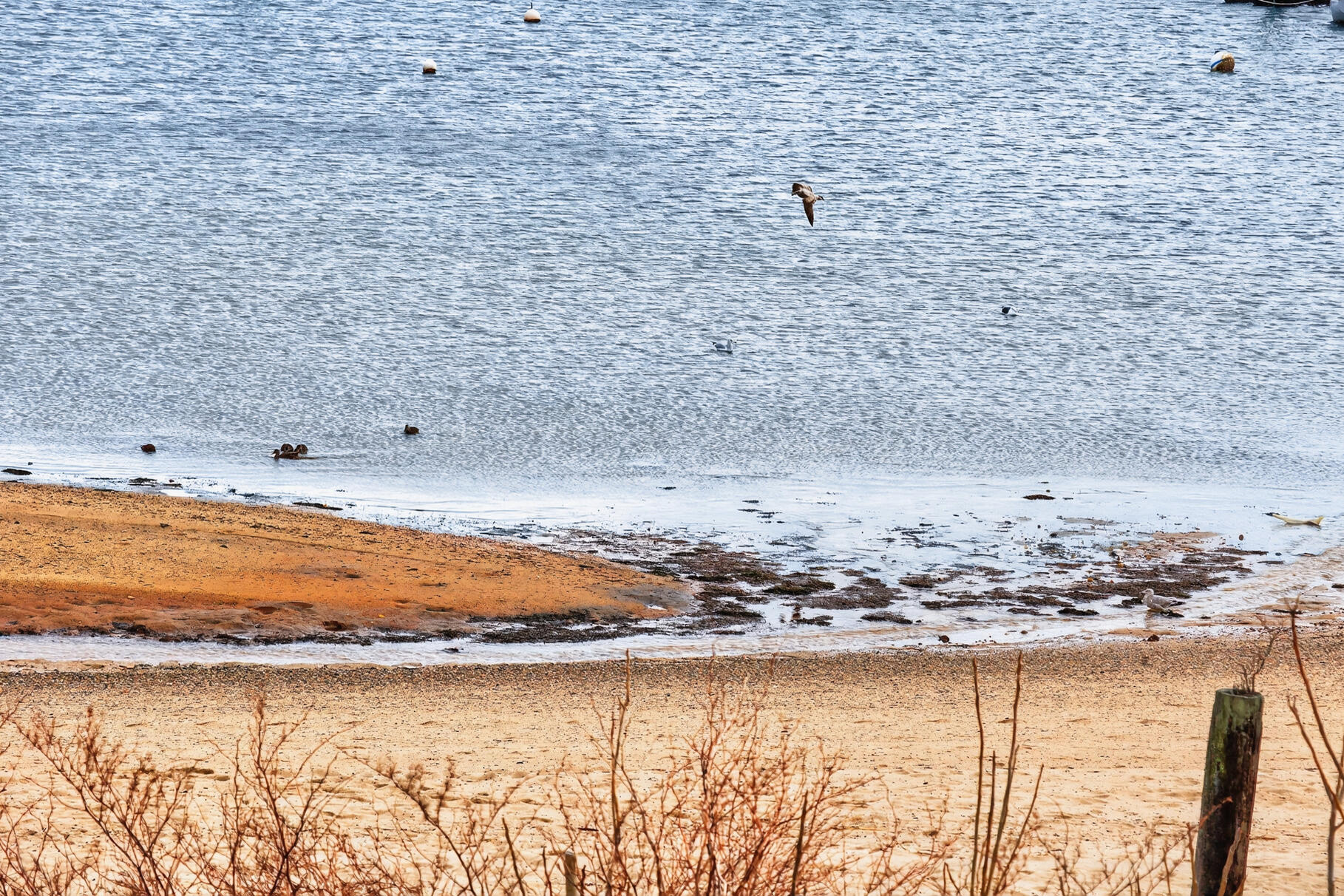 333 Commercial Street Provincetown MA 02657