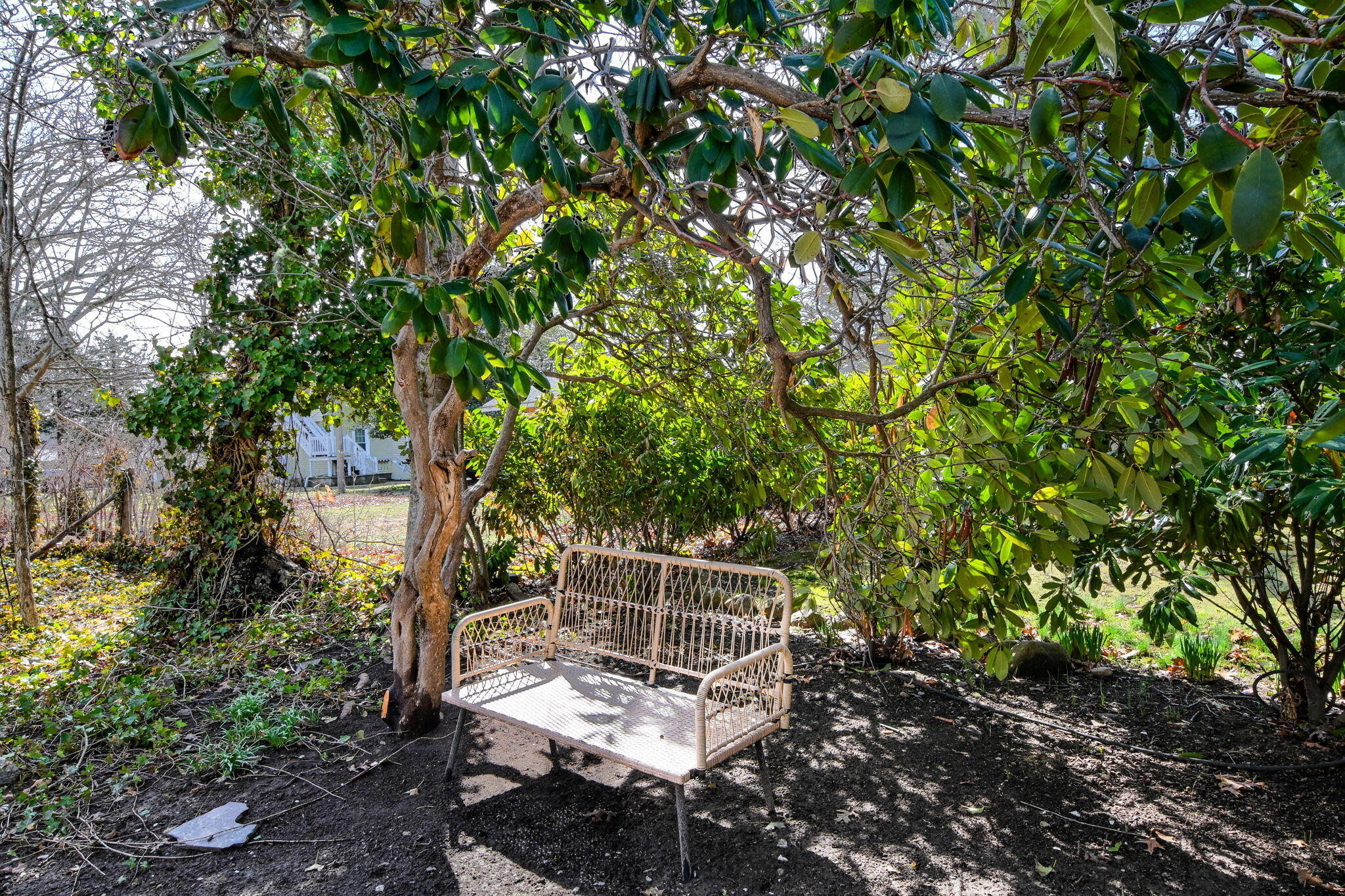 16 Lt Hauser Lane Falmouth MA 02540