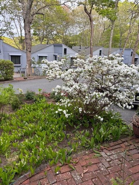 251 Shore Drive Mashpee MA 02649