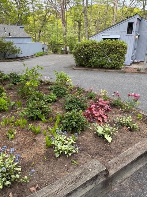 251 Shore Drive Mashpee MA 02649