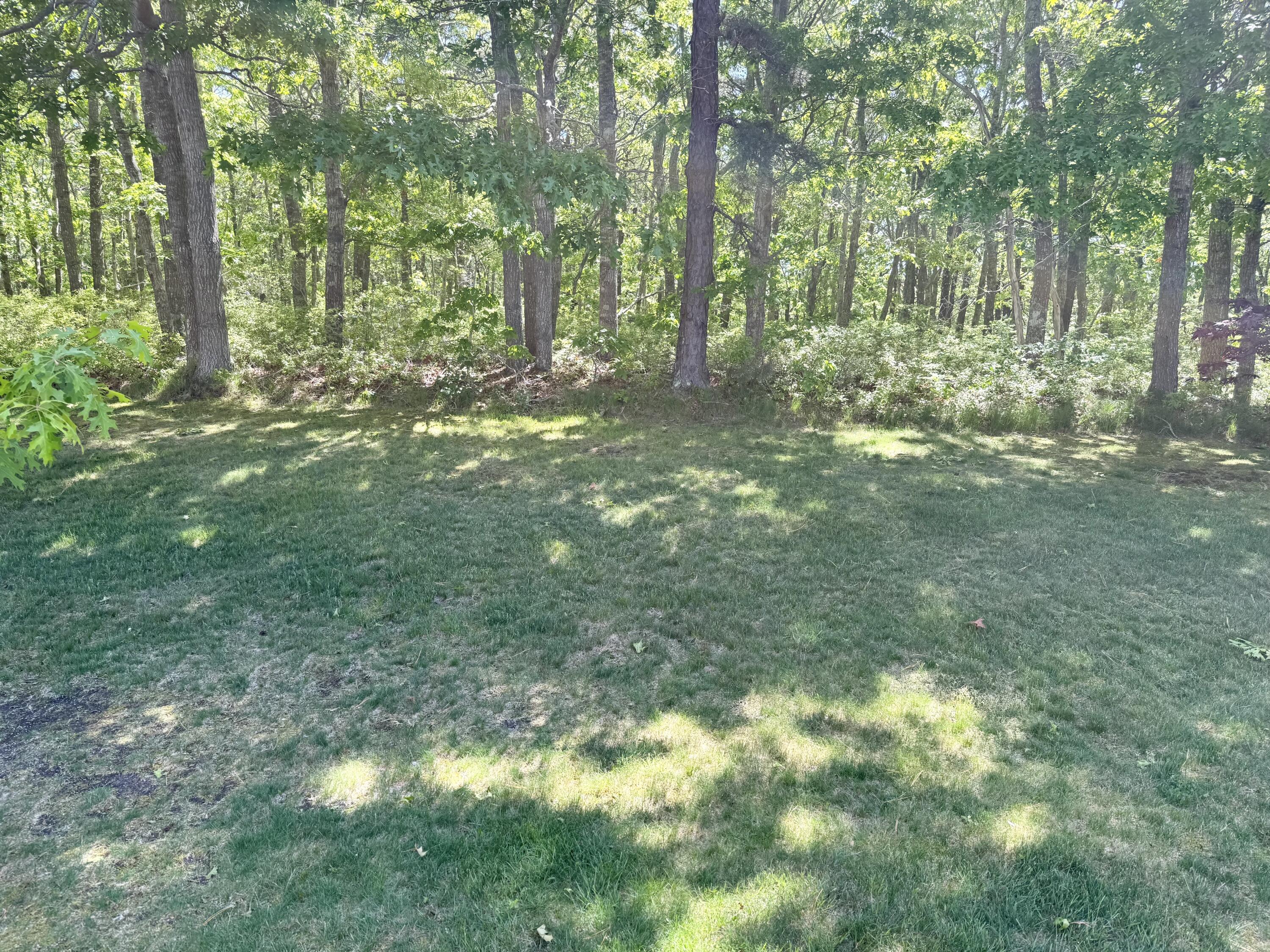 481 Buck Island Road West Yarmouth MA 02673