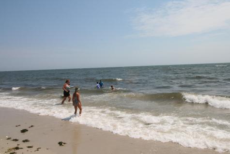 14 Harold Street Harwich Port MA 02646