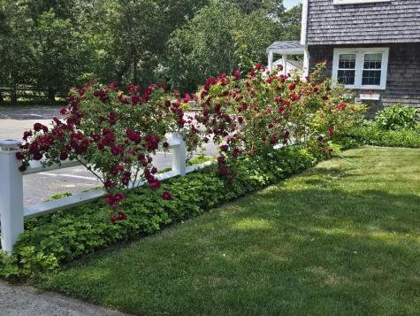 65 Inman Road Dennis MA 02639