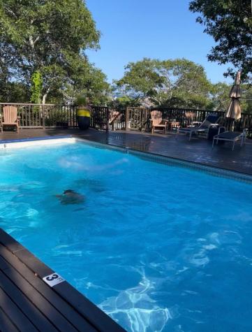 208 Bradford Street Provincetown MA 02657