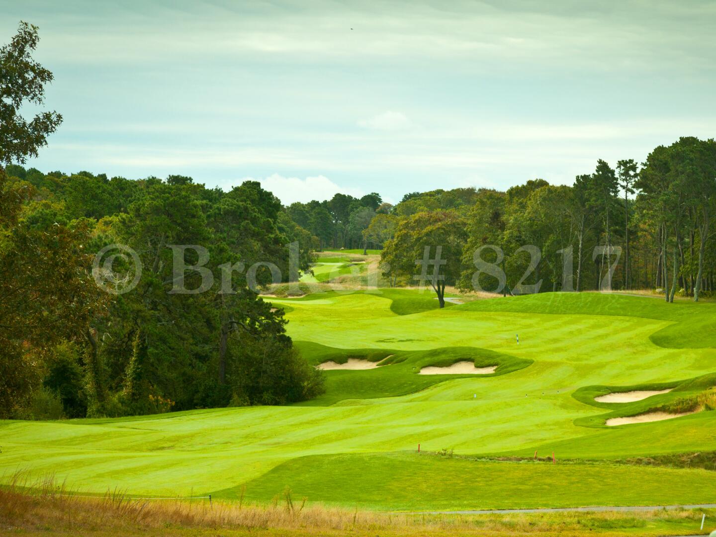 60 Fletcher Lane Brewster MA 02631