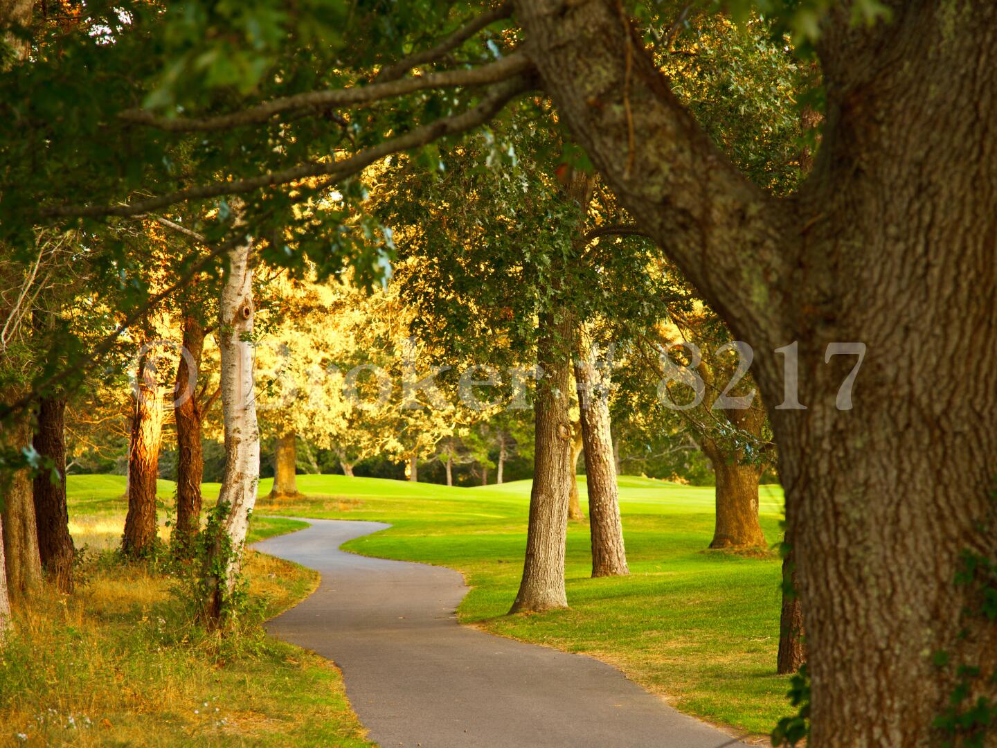 60 Fletcher Lane Brewster MA 02631