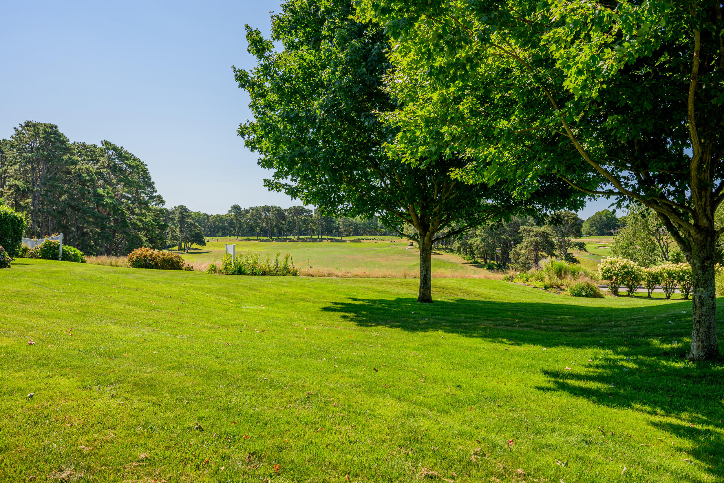 105 Trevor Lane Brewster MA 02631