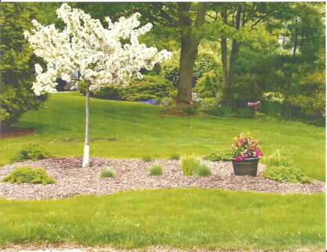 1 Seastrand Way Chatham MA 02633