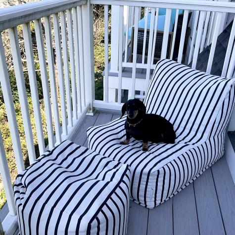 9 Chase Avenue Dennis MA 02639