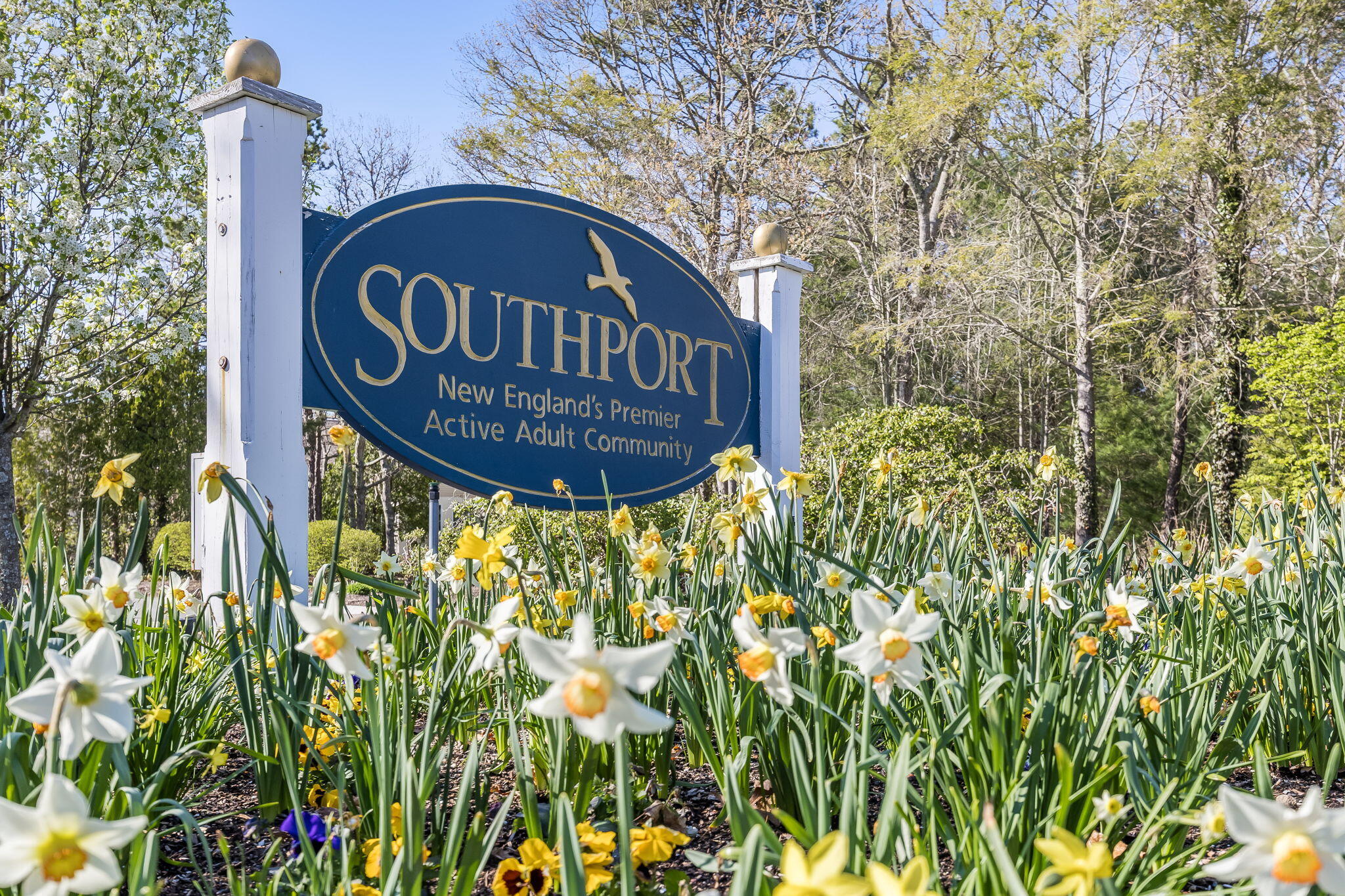 118 Grey Hawk Drive Mashpee MA 02649