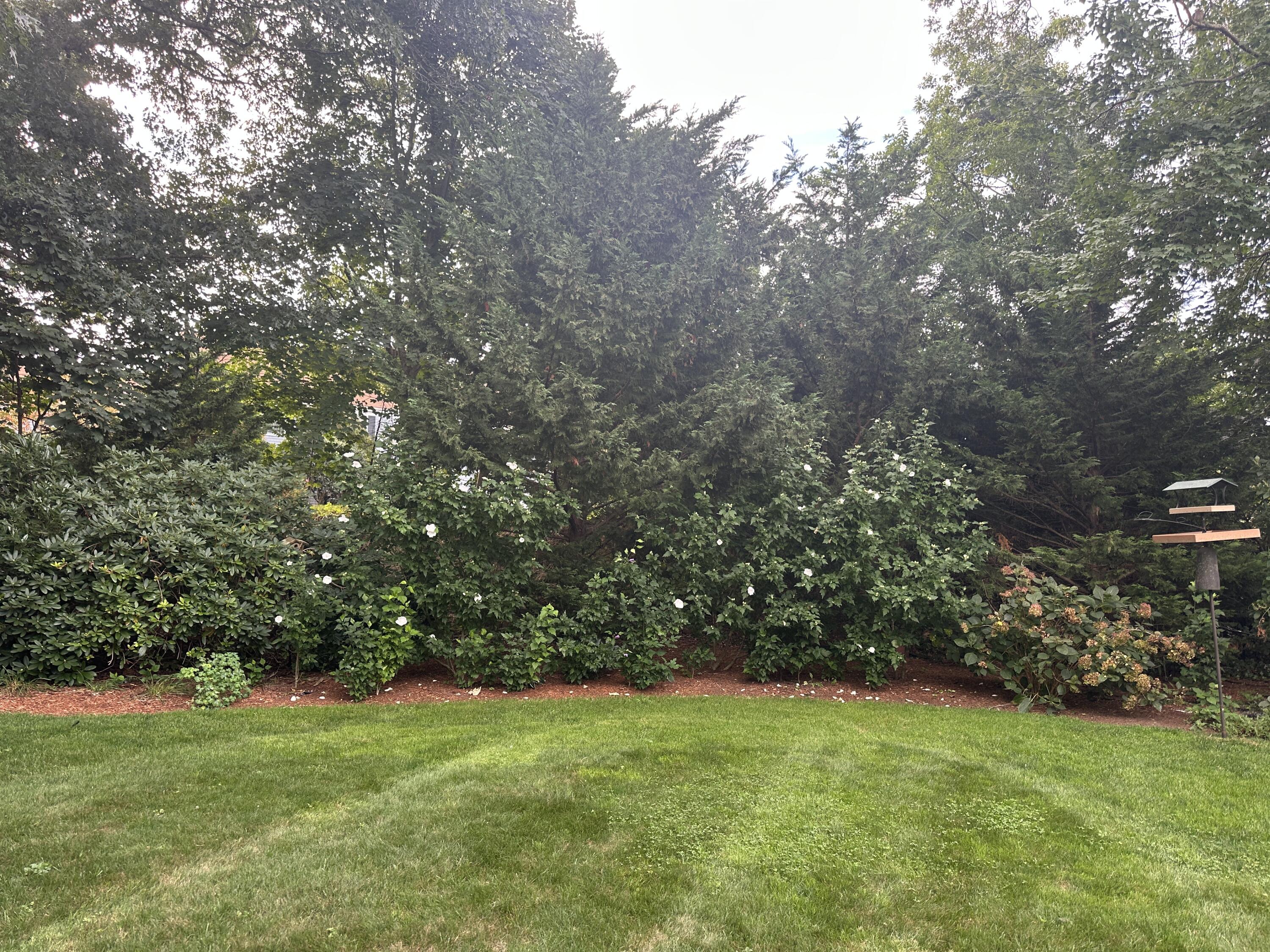 13 South Street Osterville MA 02655