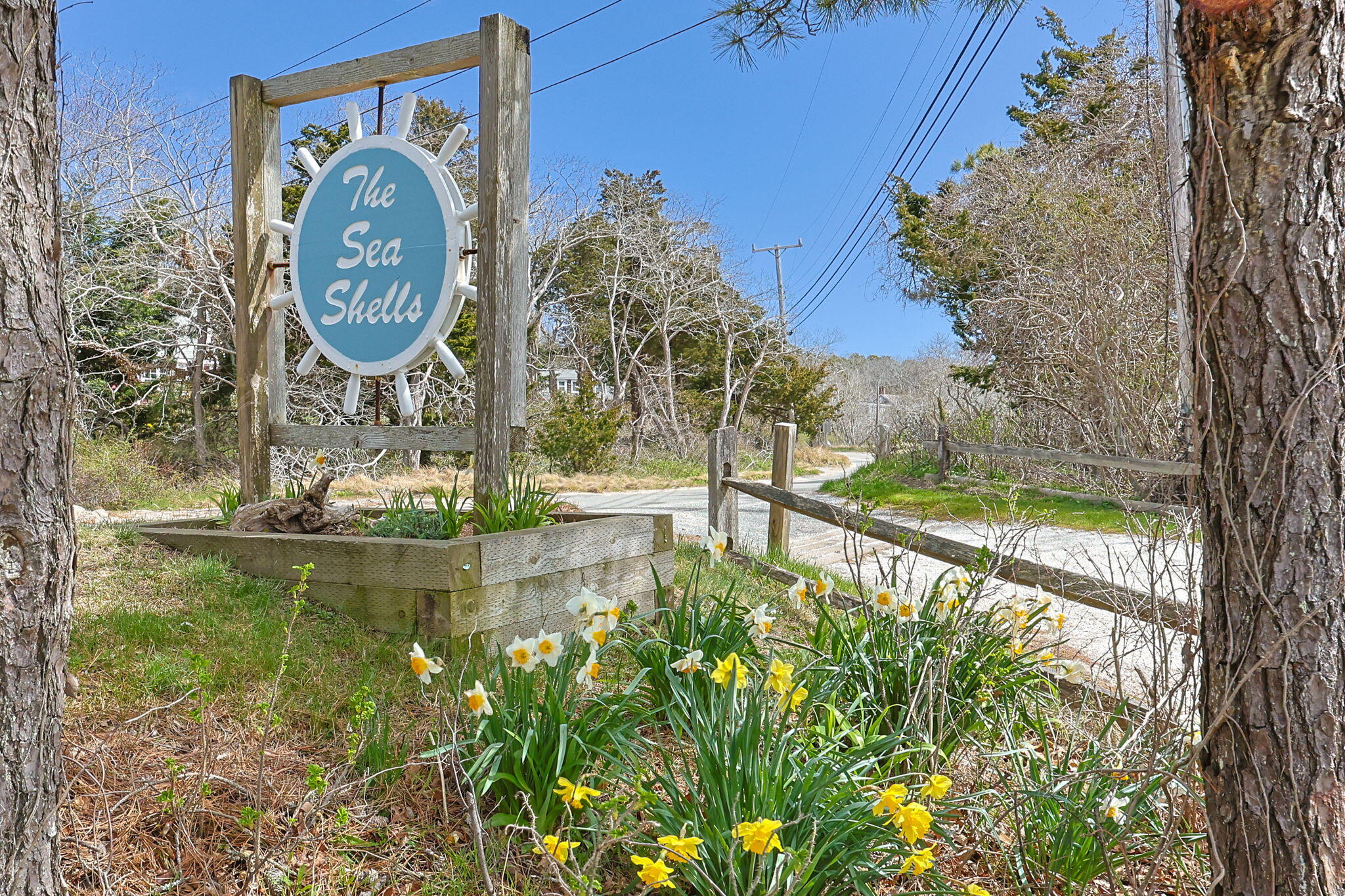 575 Chequessett Neck Road Wellfleet MA 02667