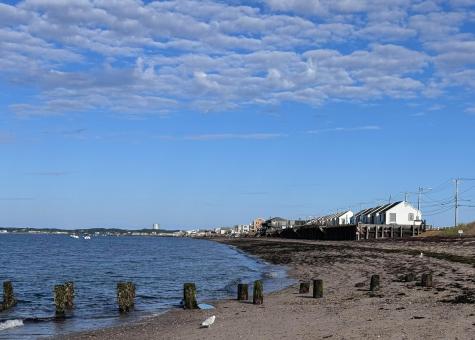 334 Shore Road Truro MA 02666