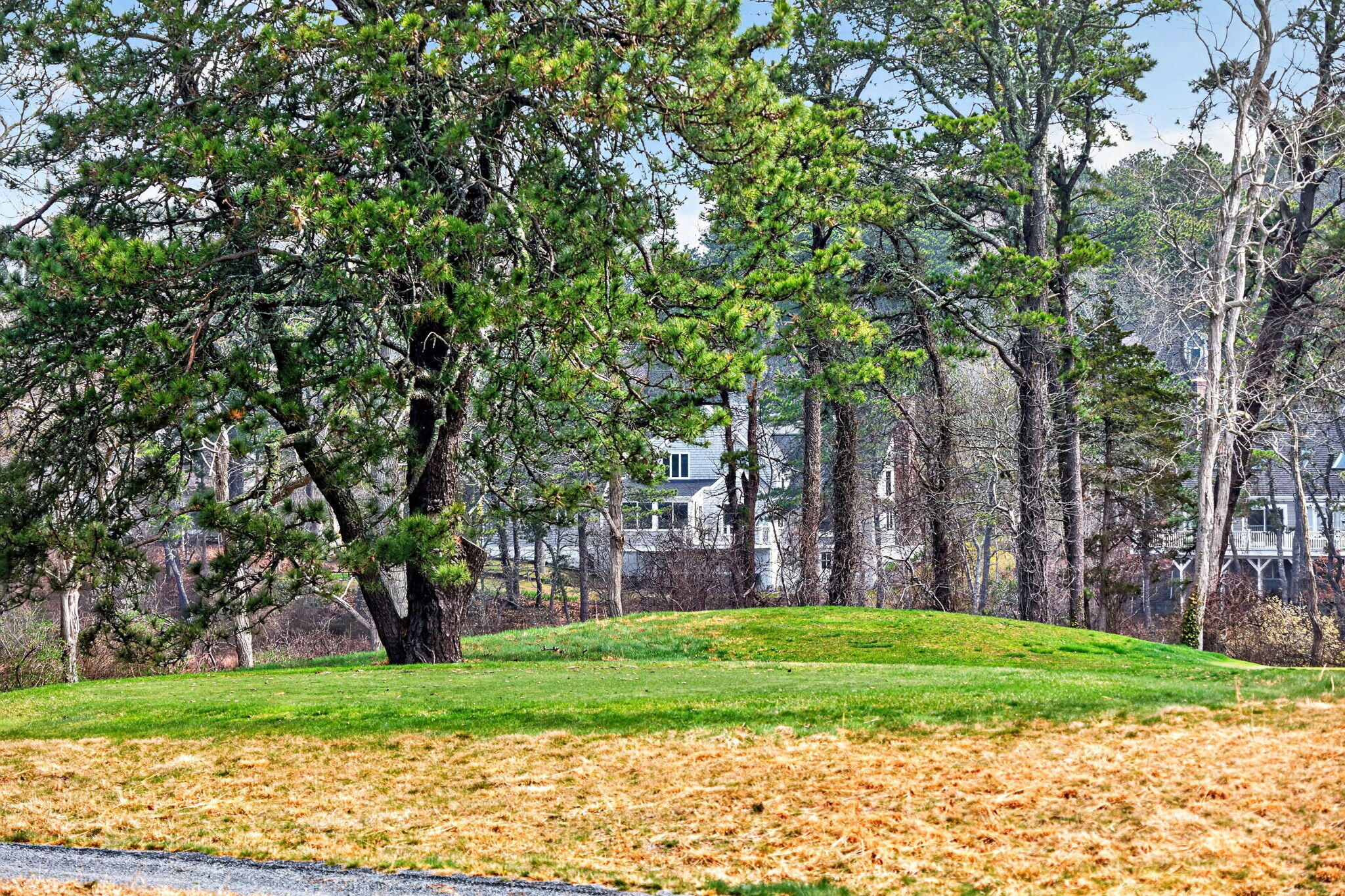 104 Chilton Lane Brewster MA 02631