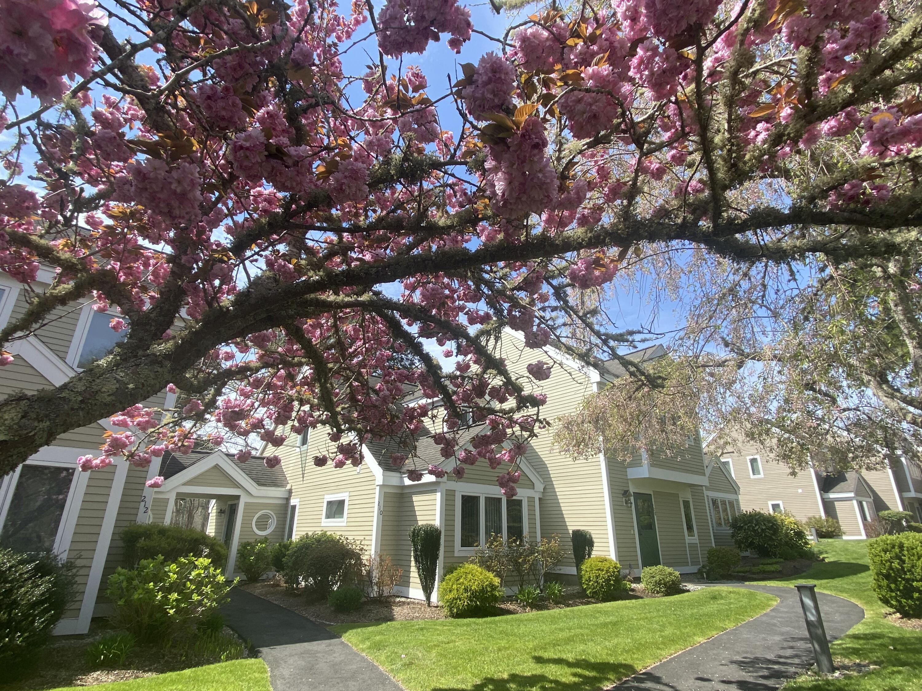 210 Billington Lane Brewster MA 02631