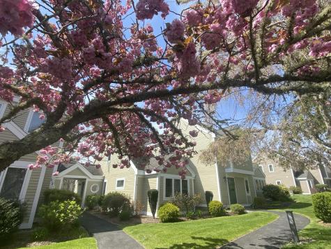 210 Billington Lane Brewster MA 02631